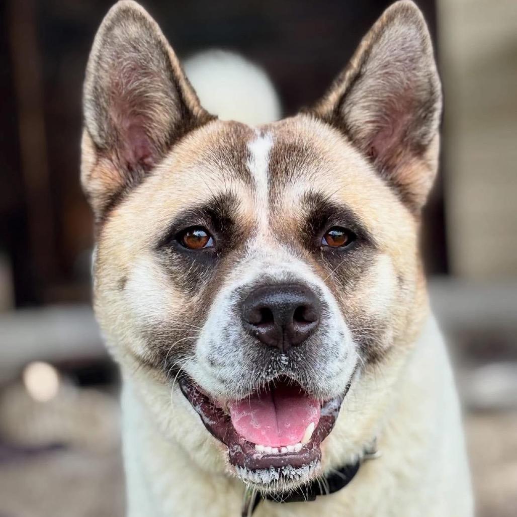 Maizie — thumbnail 3