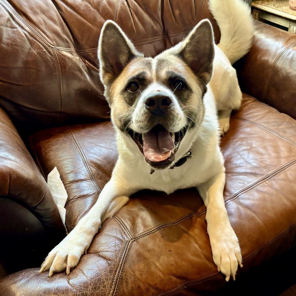 Maizie — thumbnail 4