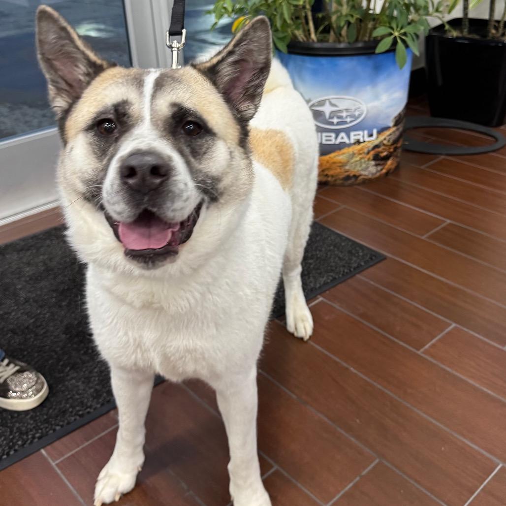 Maizie — thumbnail 6