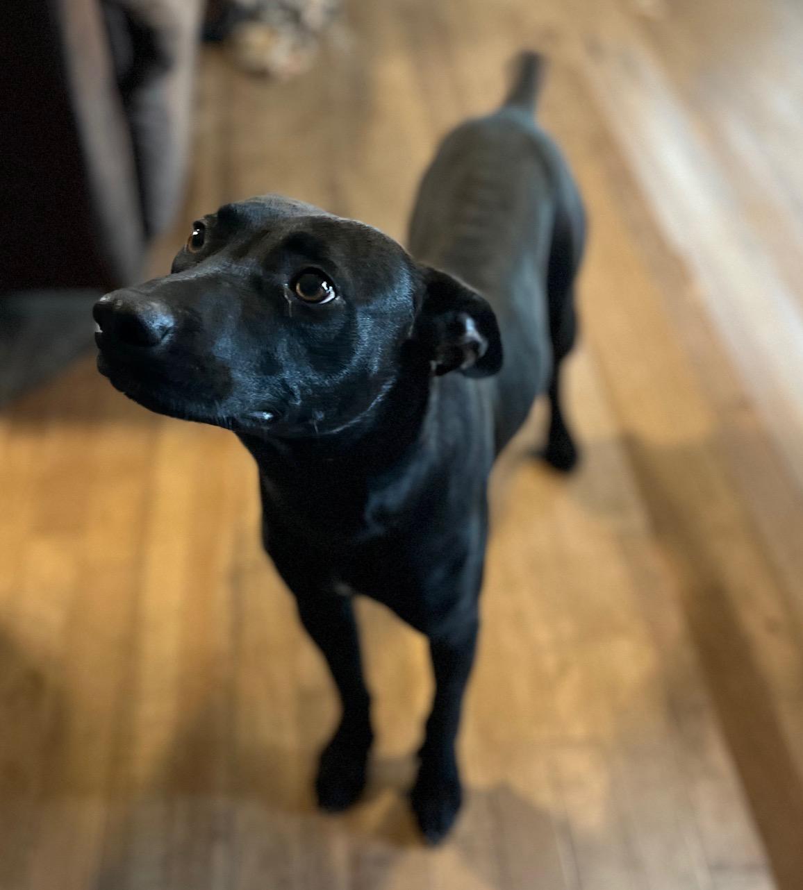 Max