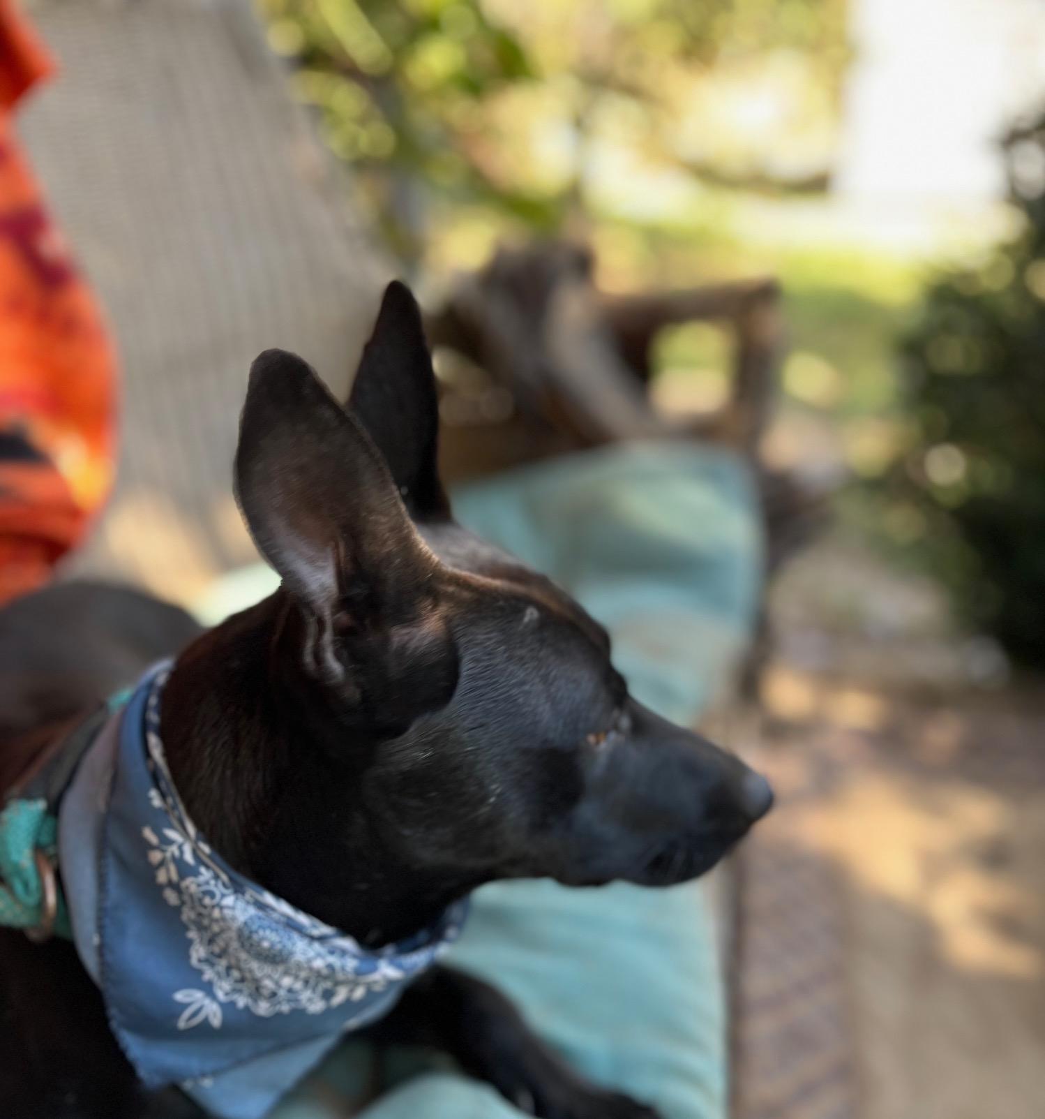 Max