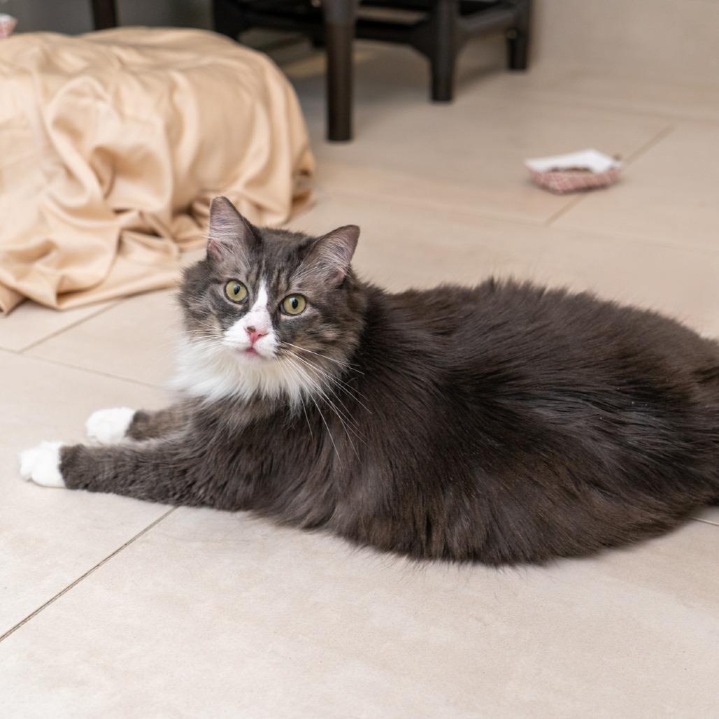 Little Debbie thumbnail 2