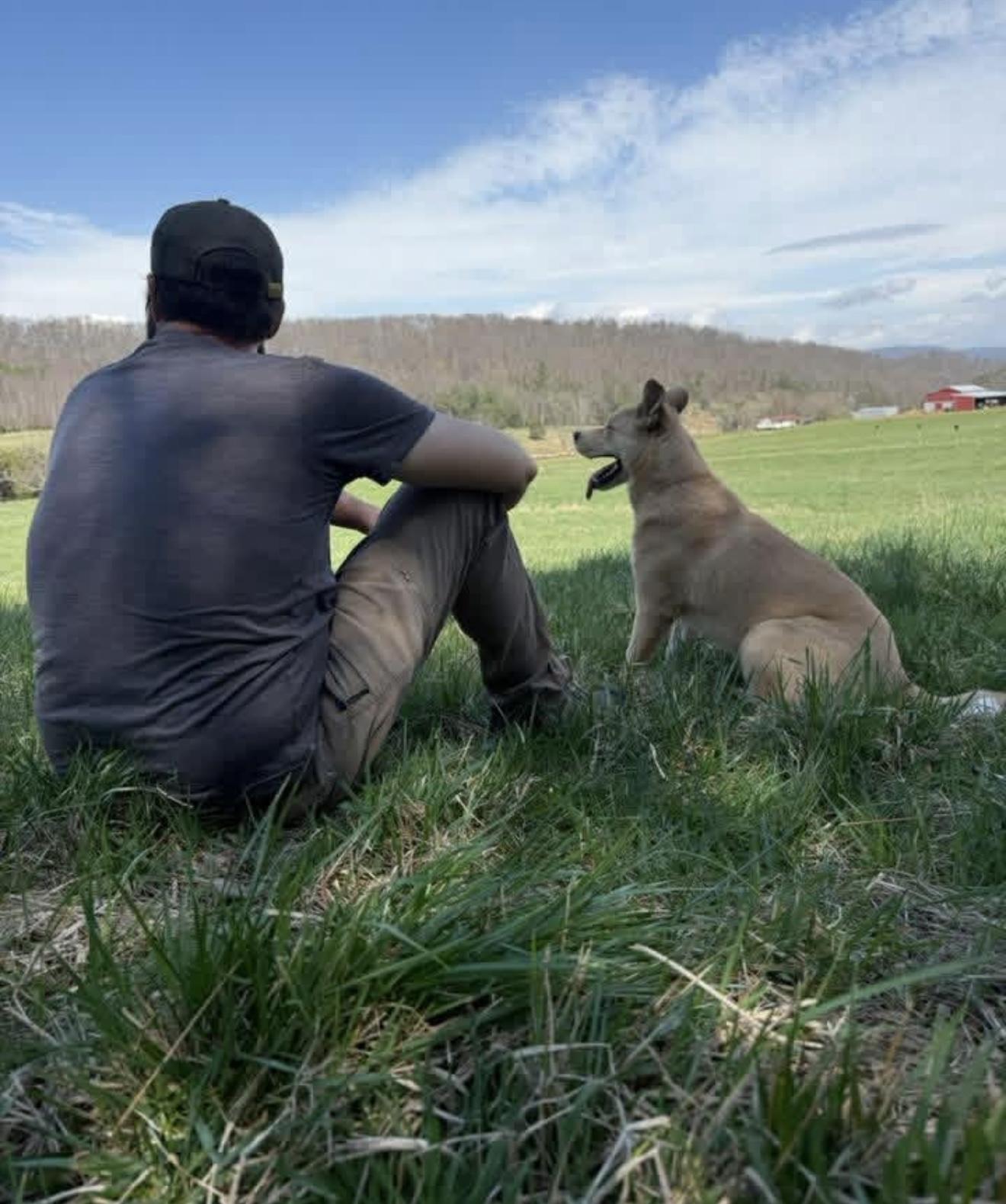 Enlarge Awesome, a ADOPTABLE mixed breed in Allentown, PA image 5/6