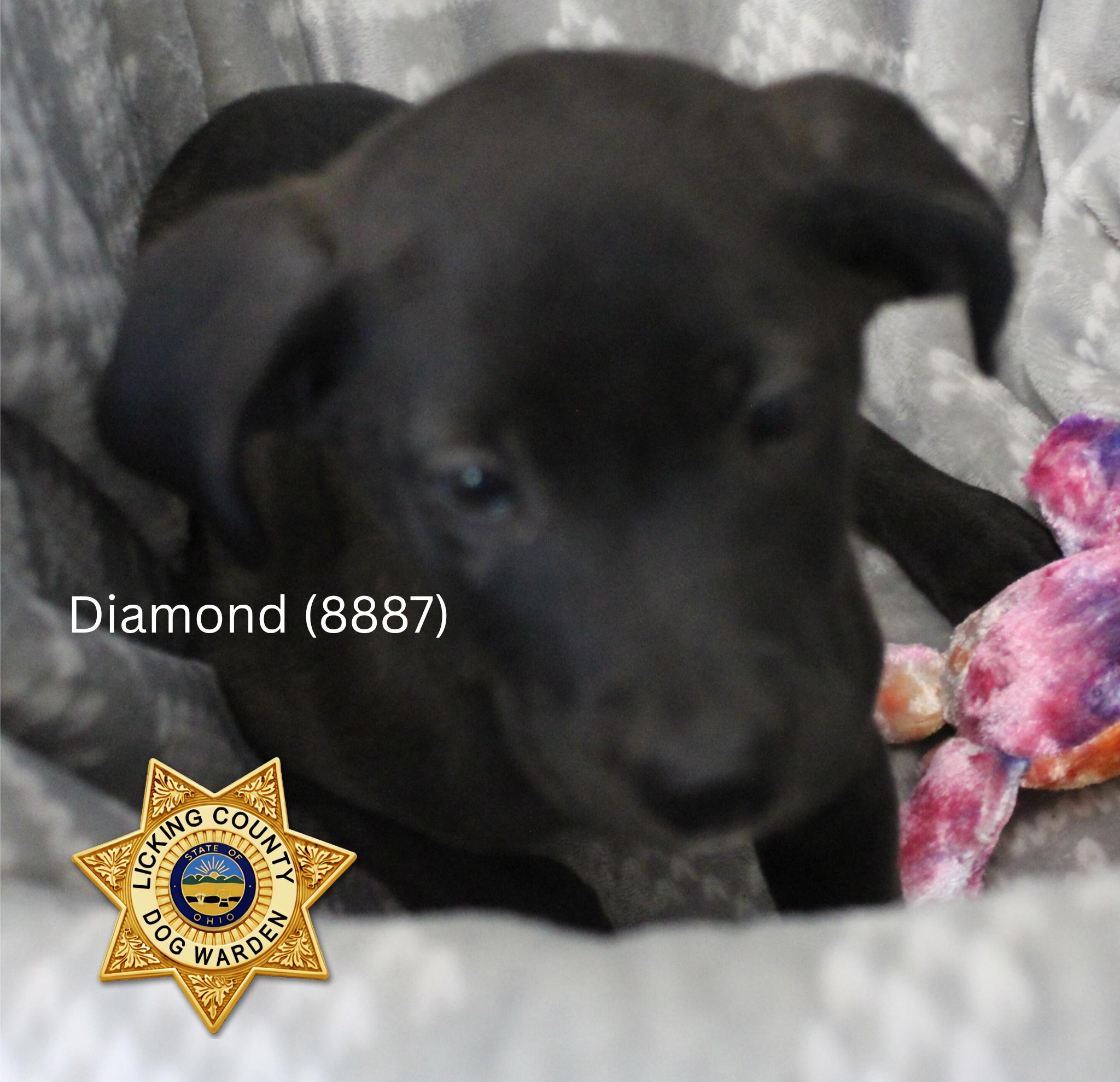 Diamond (8887)