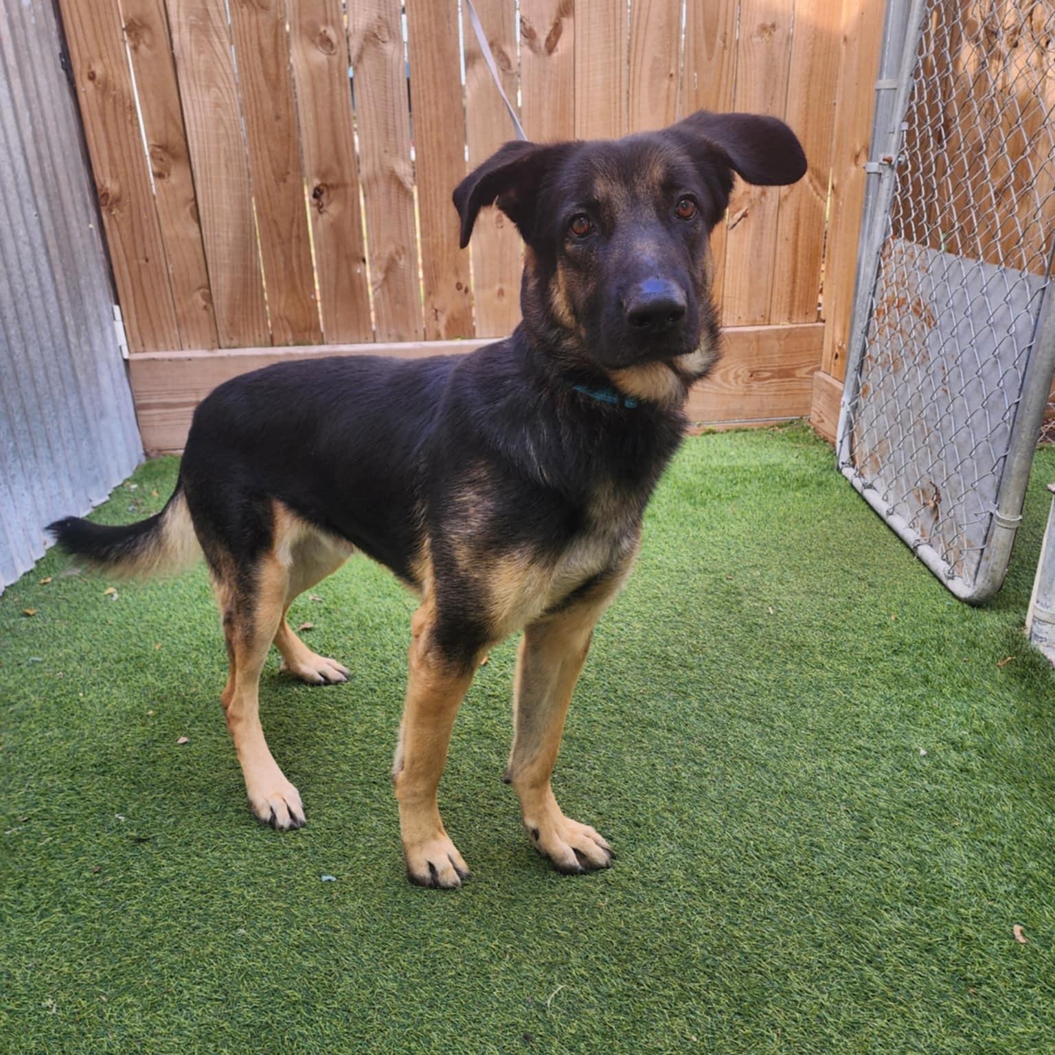 Johnny — thumbnail 2