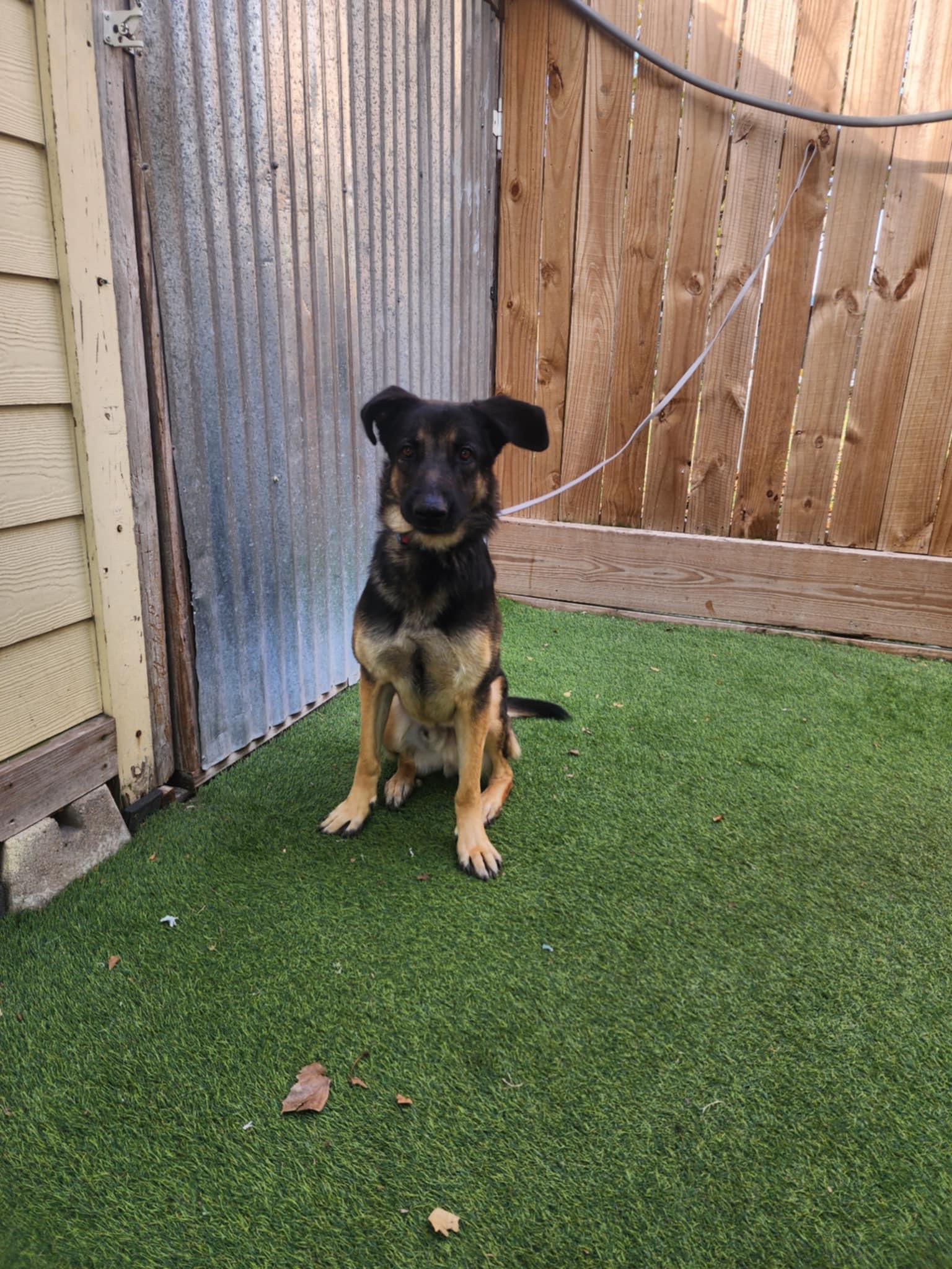 Johnny — thumbnail 3