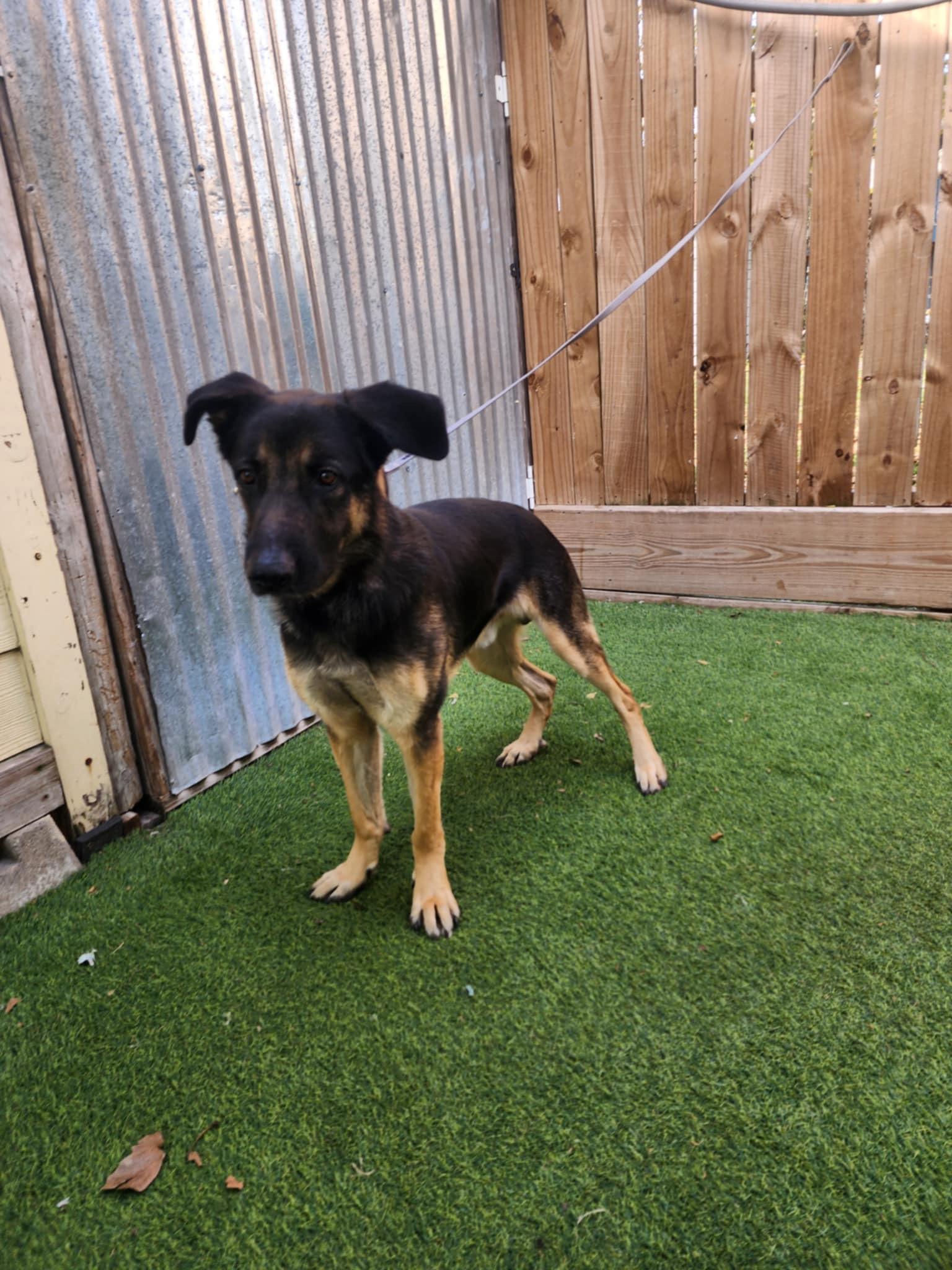 Johnny — thumbnail 5