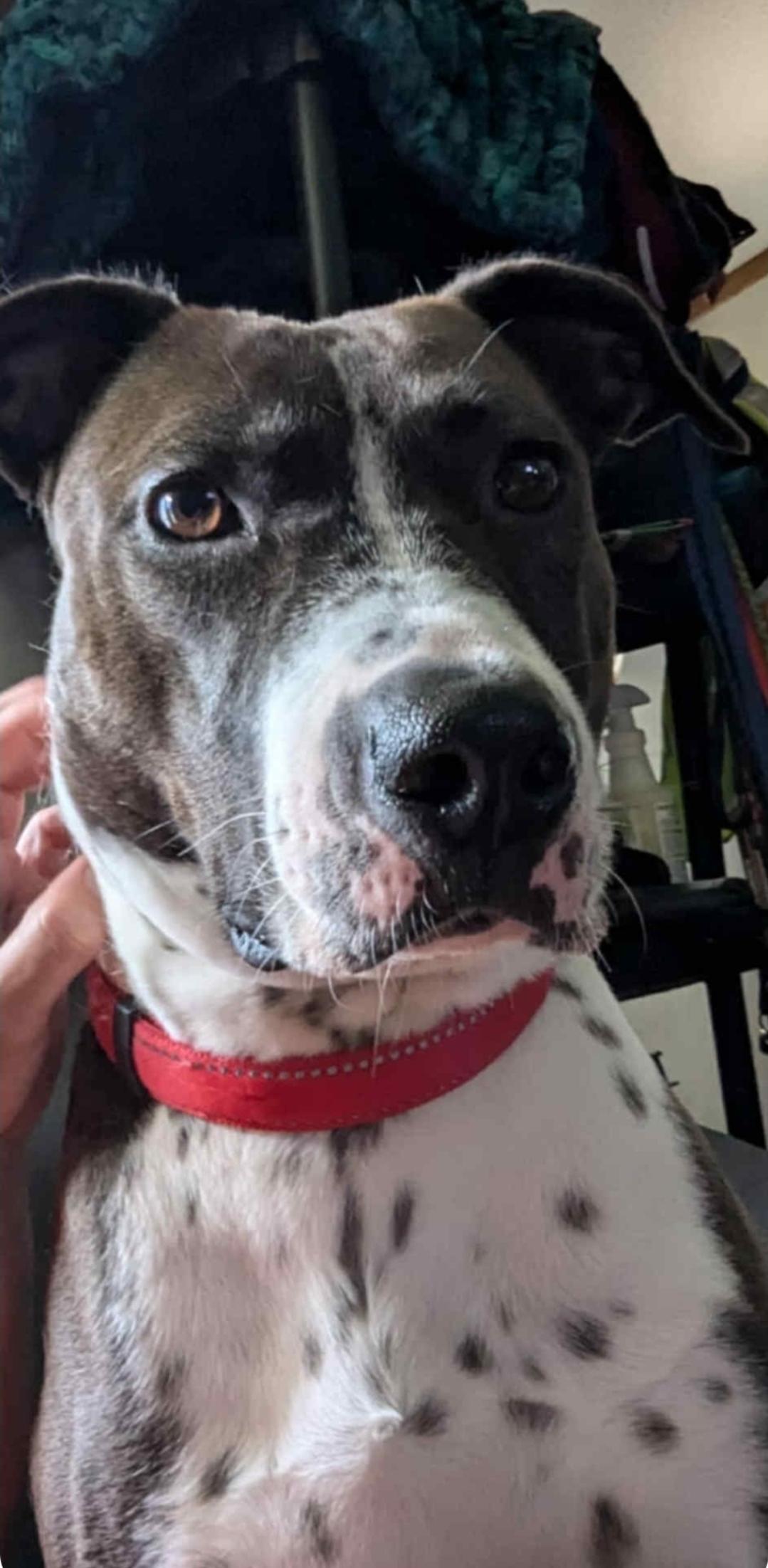 Stacee — thumbnail 3