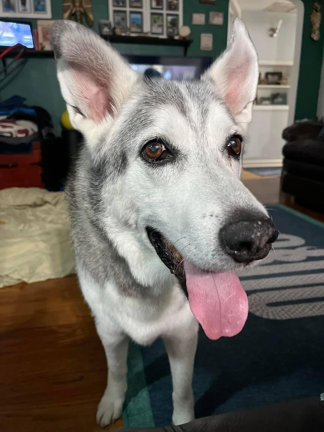 Finn
