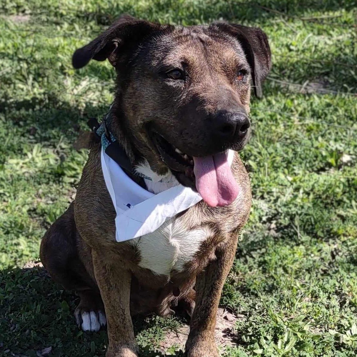 Susie — thumbnail 5