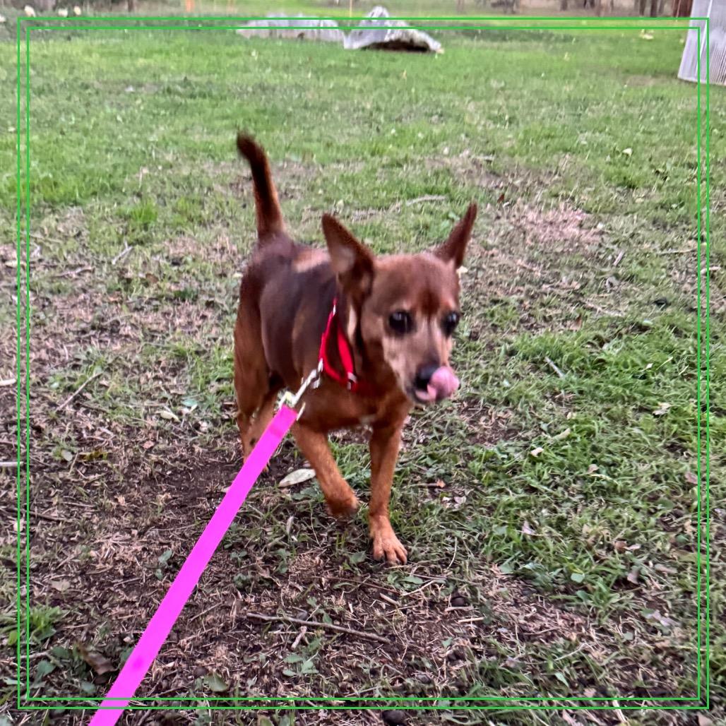 Smokey the Bear — thumbnail 2