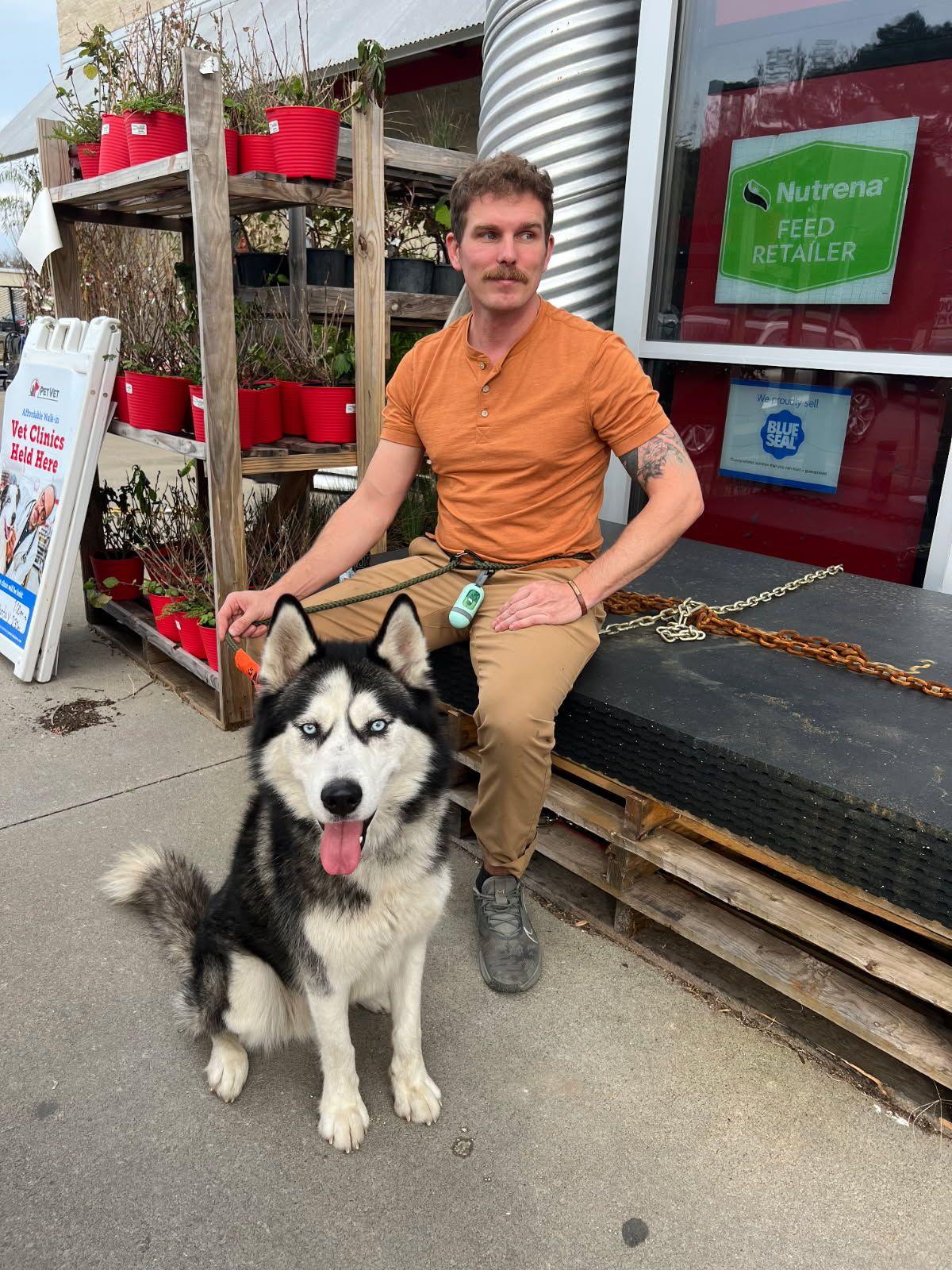 Lucius: Loyal Luci needs a home! Great companion!, a Adoptable Husky in Chesapeake, VA image 4/6