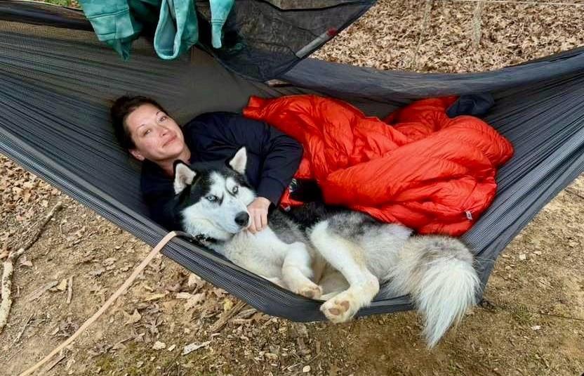 Lucius: Loyal Luci needs a home! Great companion!, a Adoptable Husky in Chesapeake, VA image 2/6