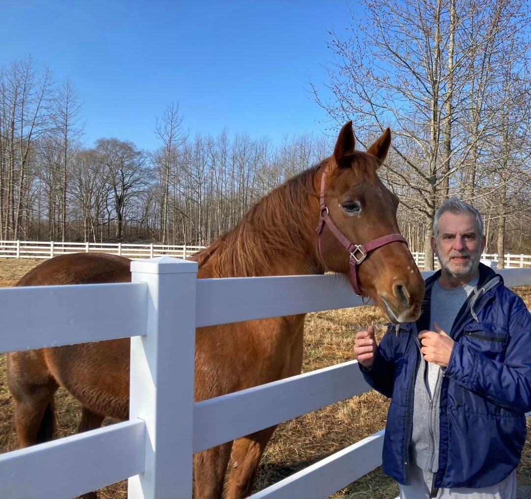 Red Cookie, a Adopted Standardbred in Wall, NJ image 6/6