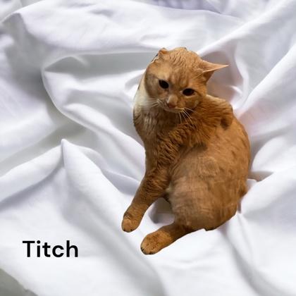 Titch