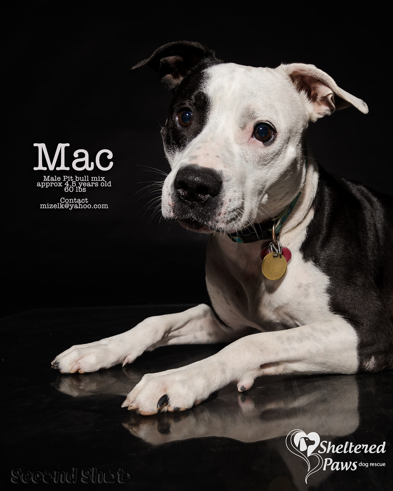 Mac