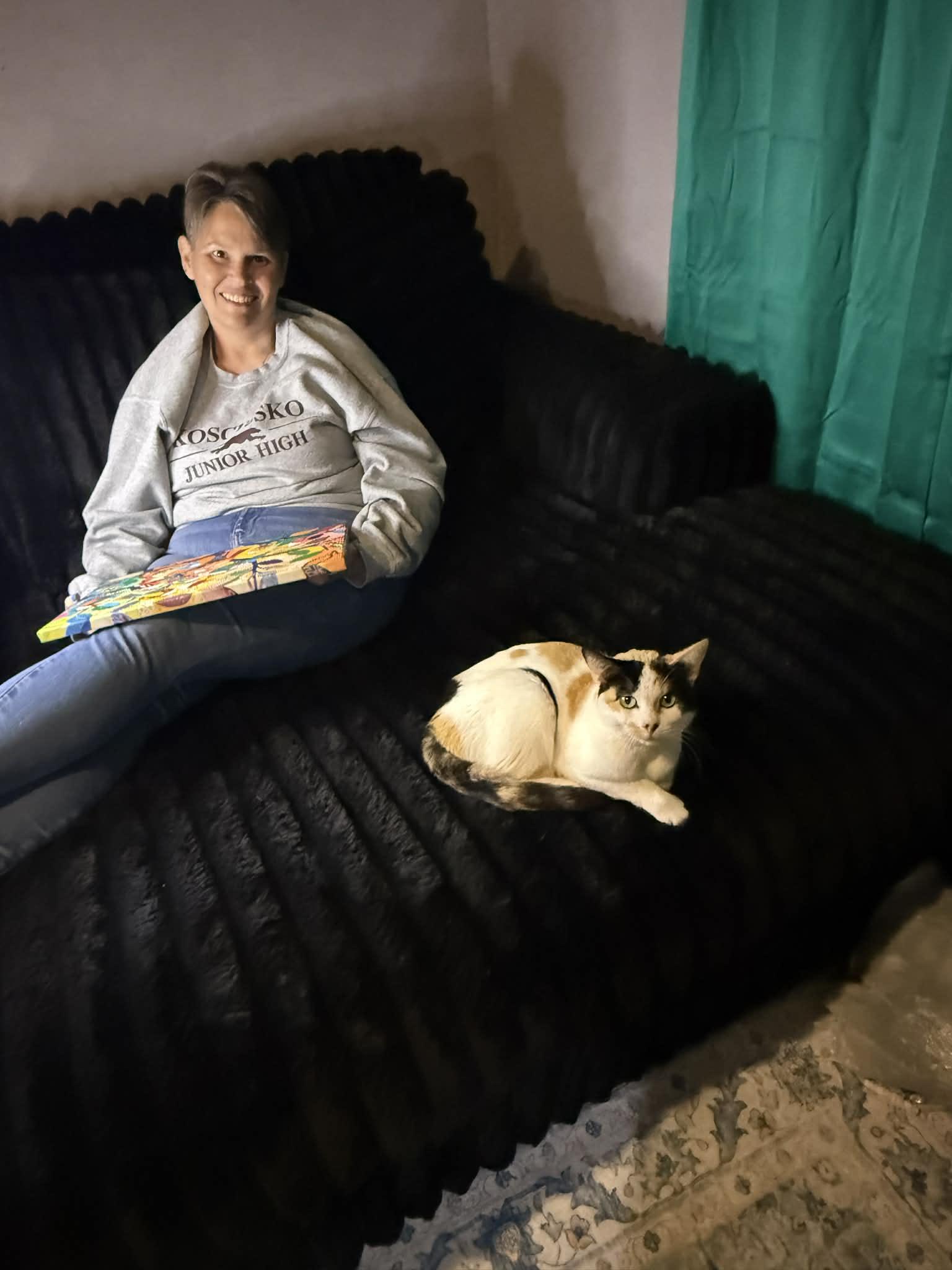 Sheba, a Adoptable Calico in Hope, RI image 3/6