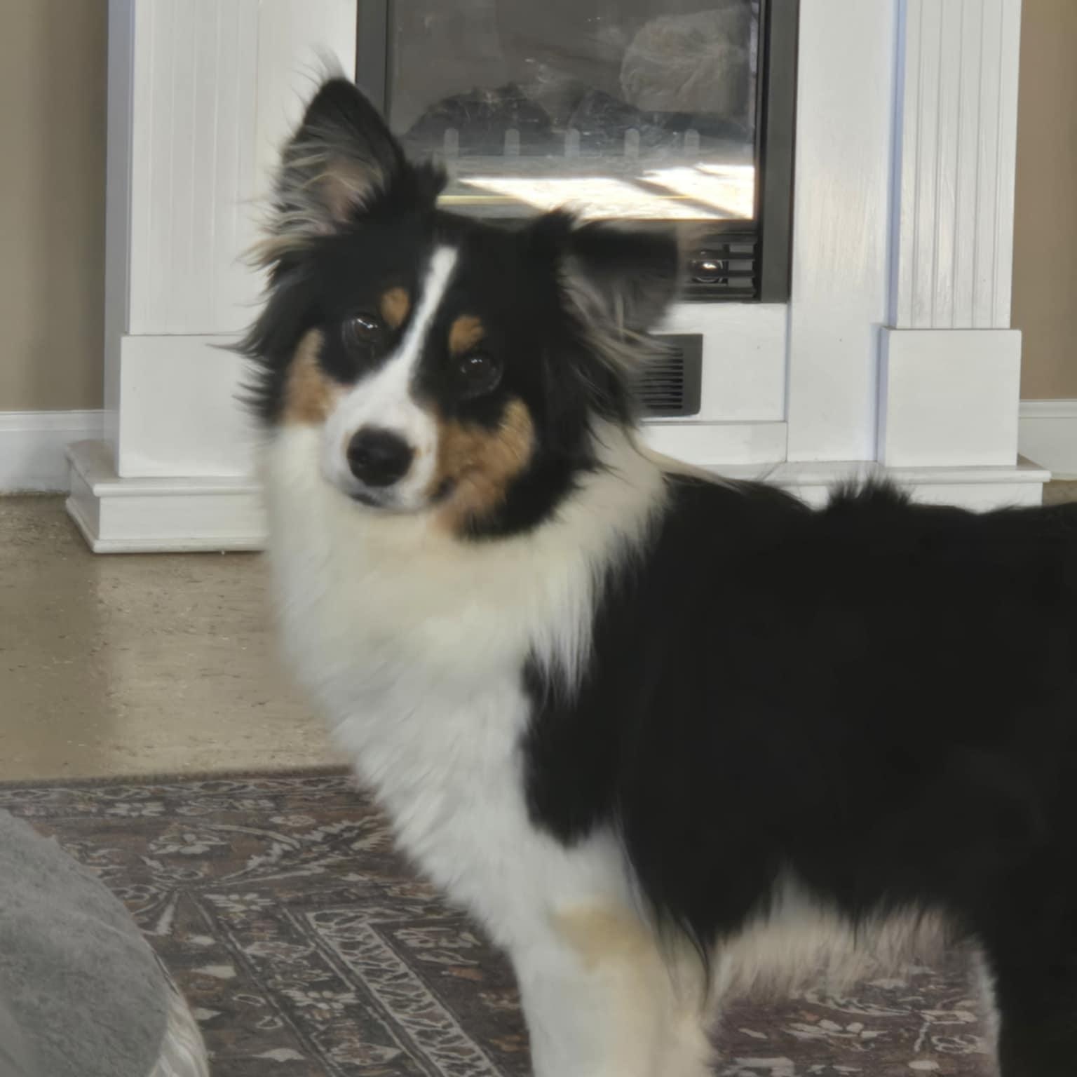 Daphne photo 5