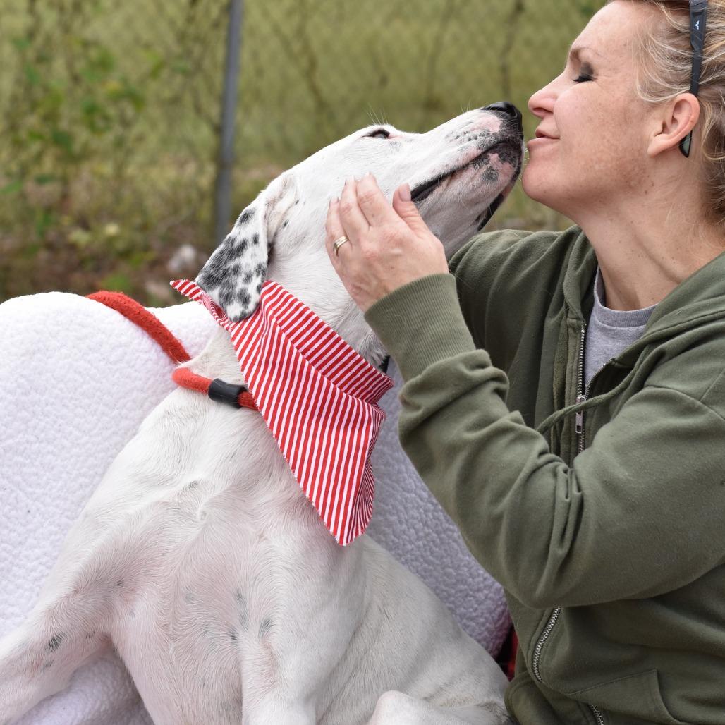 Enlarge Oakley, a Adoptable Mixed Breed in Ft Walton Beach , FL image 3/6