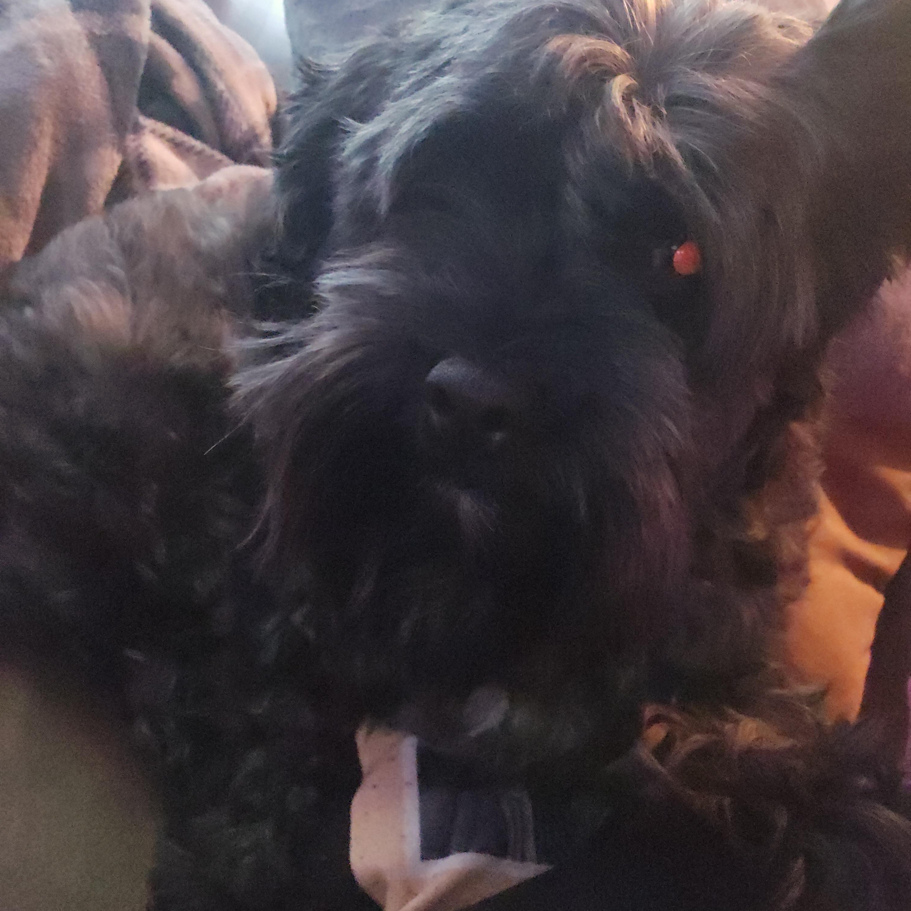 Jack — thumbnail 3