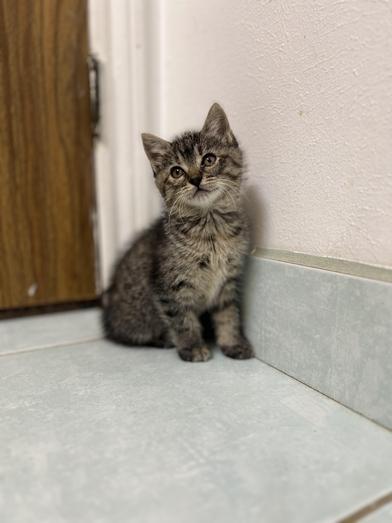 Itzel — thumbnail 2