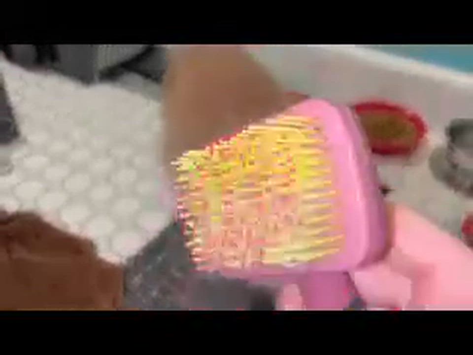 Enlarge Churro, an adopted mixed breed in Melrose, MA video 3/6