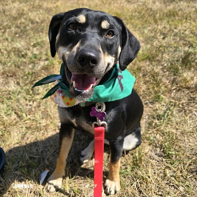 Karen — thumbnail 5