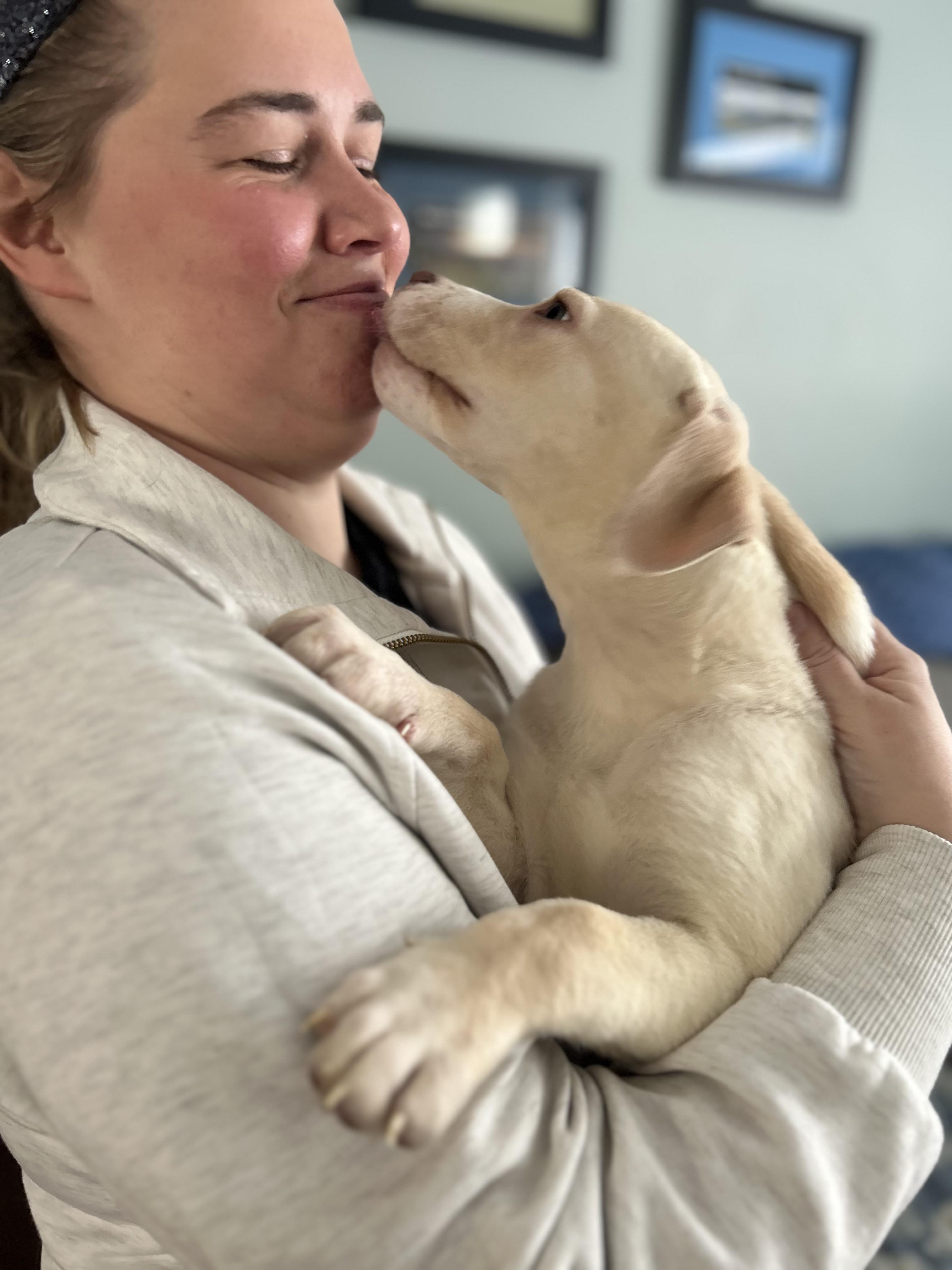 Enlarge Penelope, a ADOPTABLE mixed breed in Buffalo, NY image 5/6