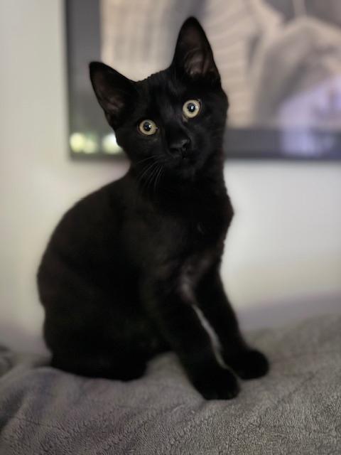 Trevor