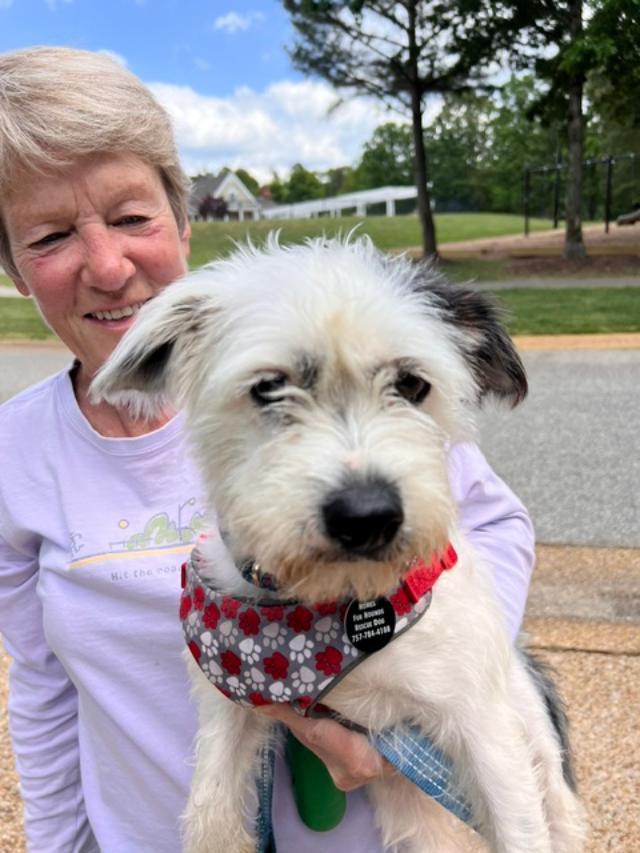 Enlarge Brandi, a ADOPTABLE mixed breed in Williamsburg, VA image 6/6