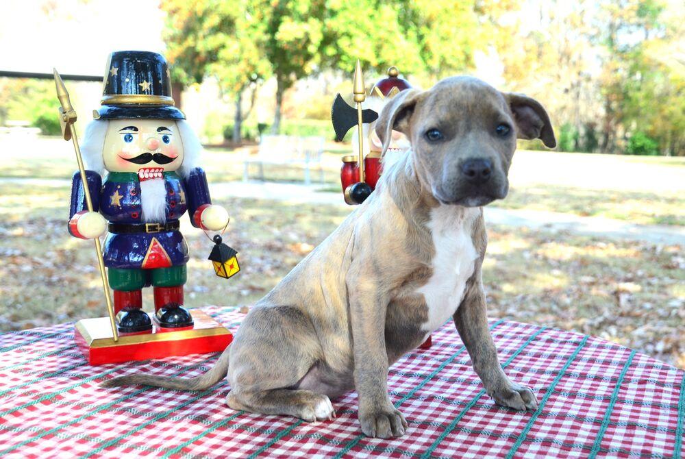 Danielle thumbnail 3