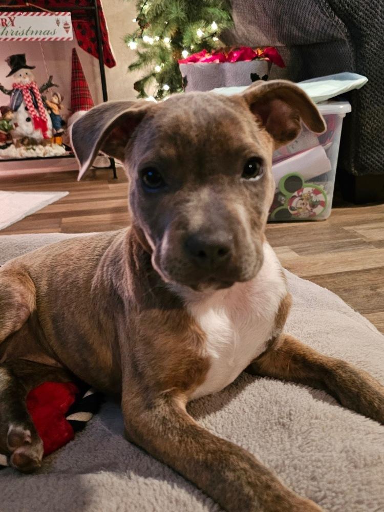 Danielle thumbnail 4