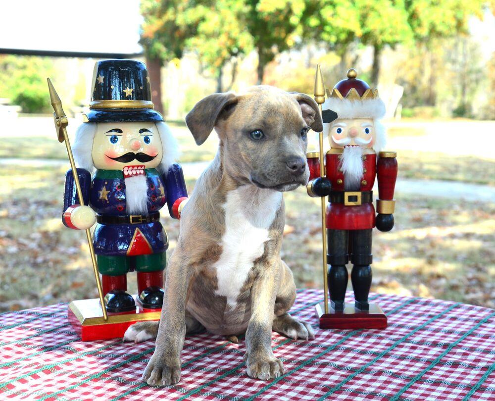 Danielle thumbnail 5