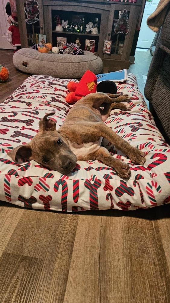 Danielle thumbnail 6