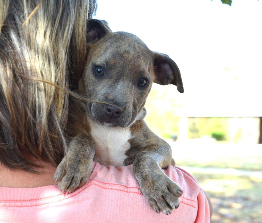 Danielle thumbnail 7