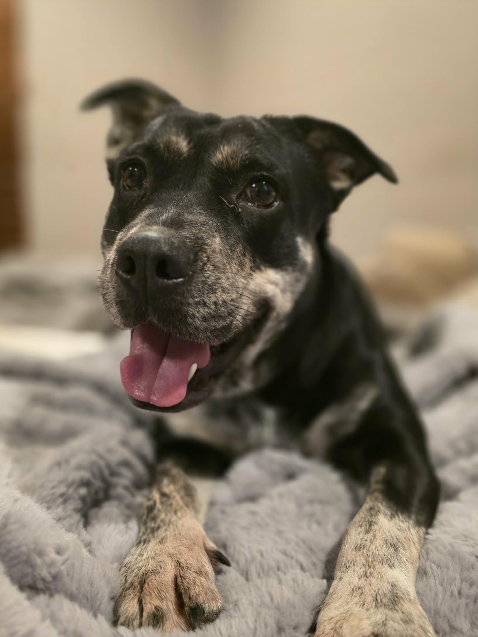 Glow : Sweet and Submissive Girl — thumbnail 3