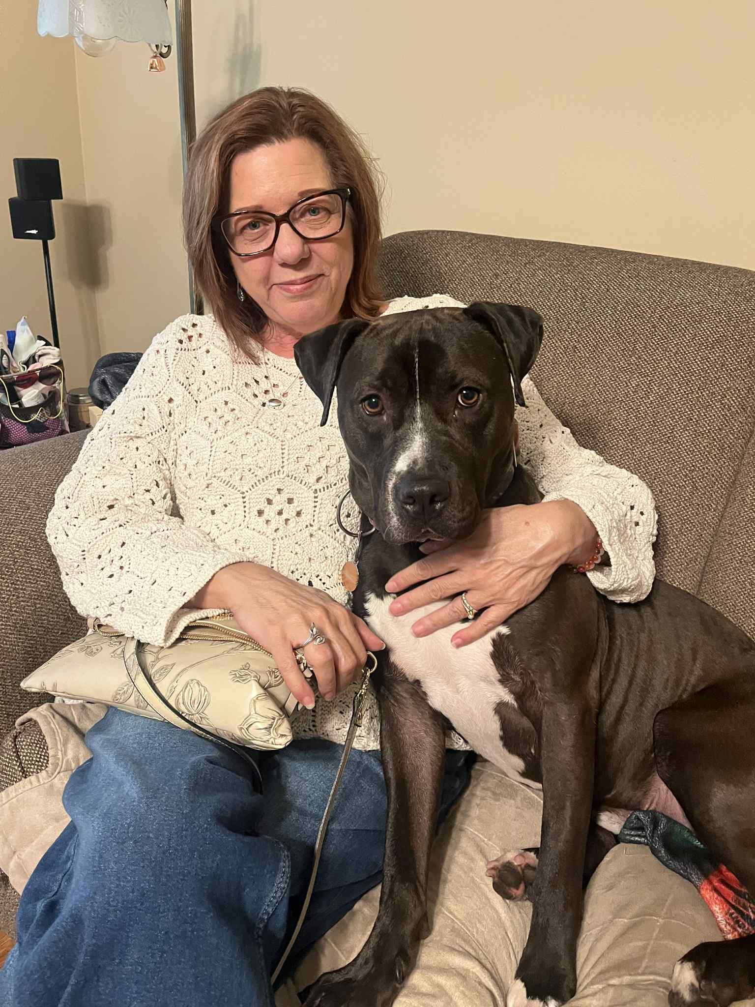 Enlarge Donkey, a Adoptable mixed breed in Kansas City, MO image 3/6