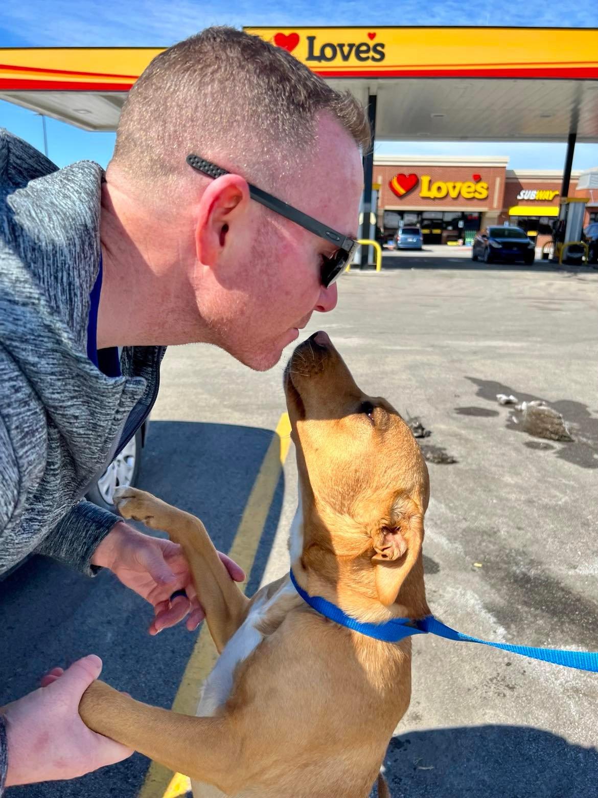 Enlarge Callie, a Adoptable Terrier in Lee's Summit, MO image 1/6