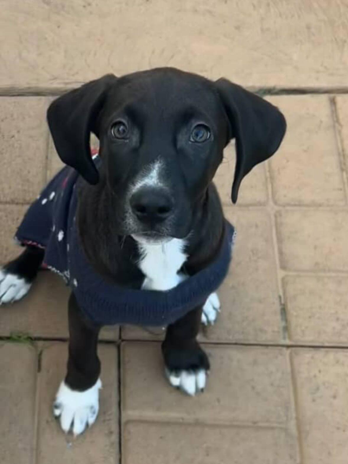 Cool Ghoul thumbnail 3