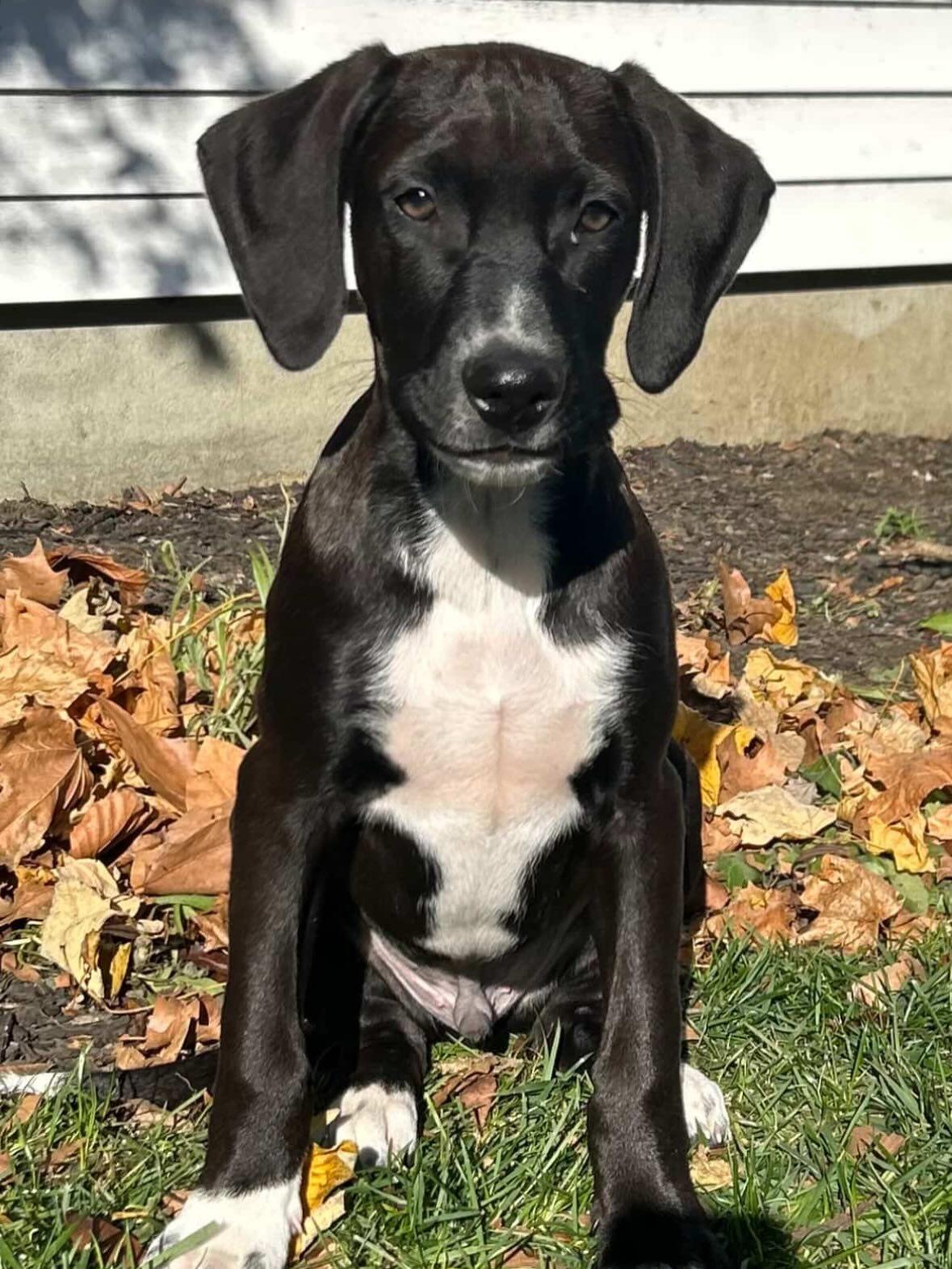 Cool Ghoul thumbnail 5