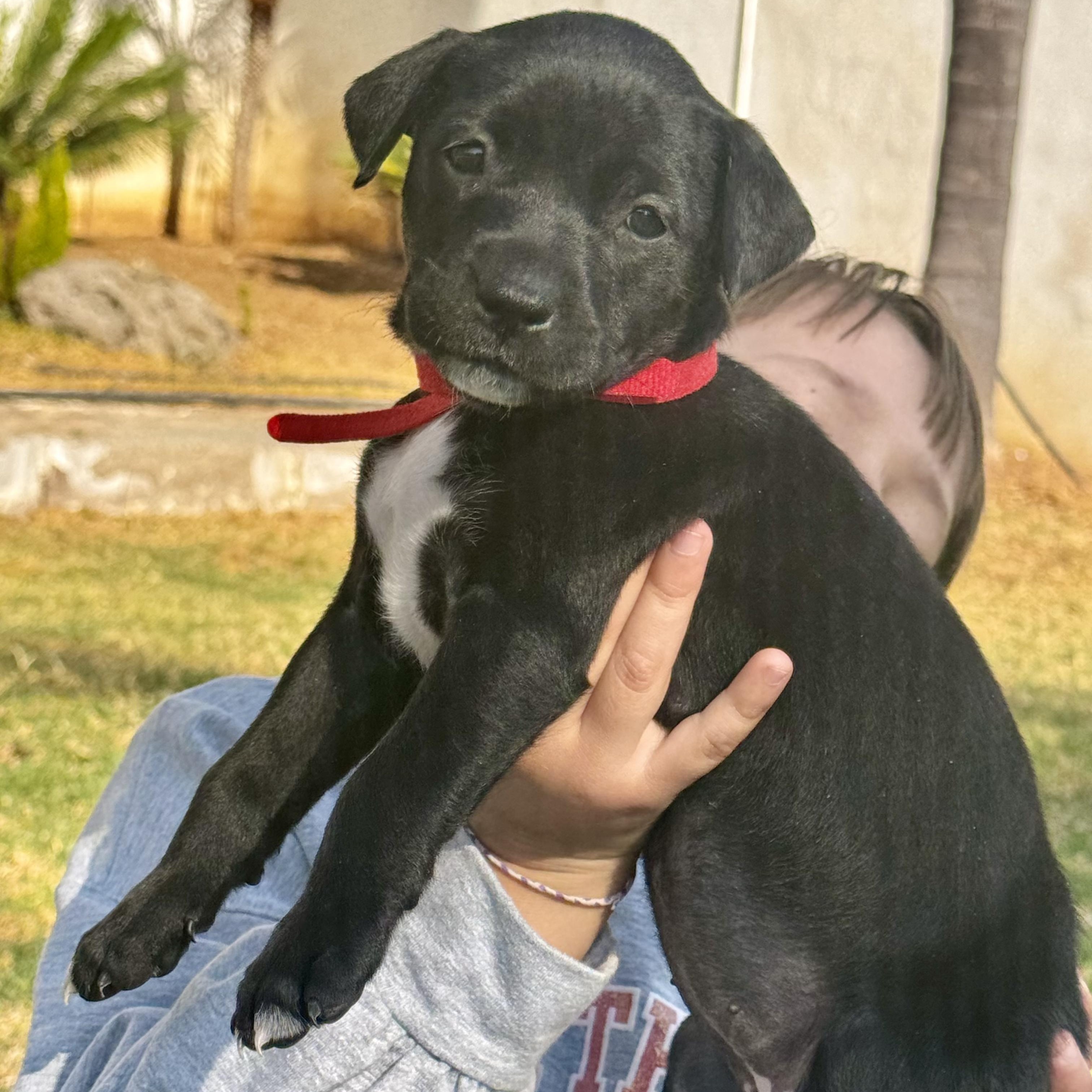 Ursula — thumbnail 5