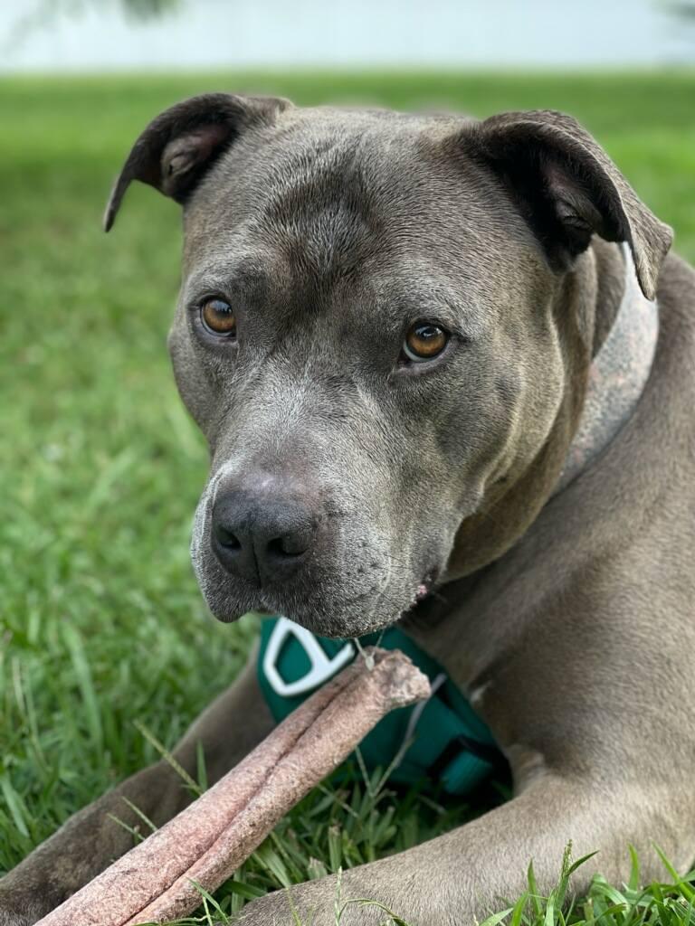 Luna