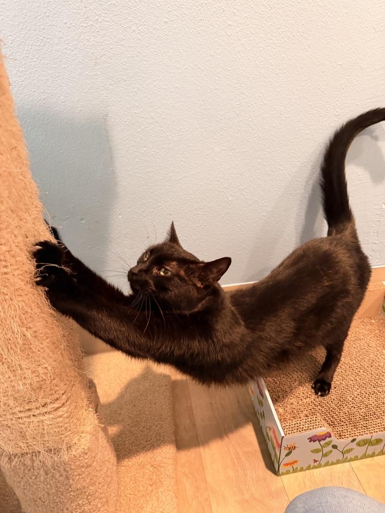 Sunny — thumbnail 2