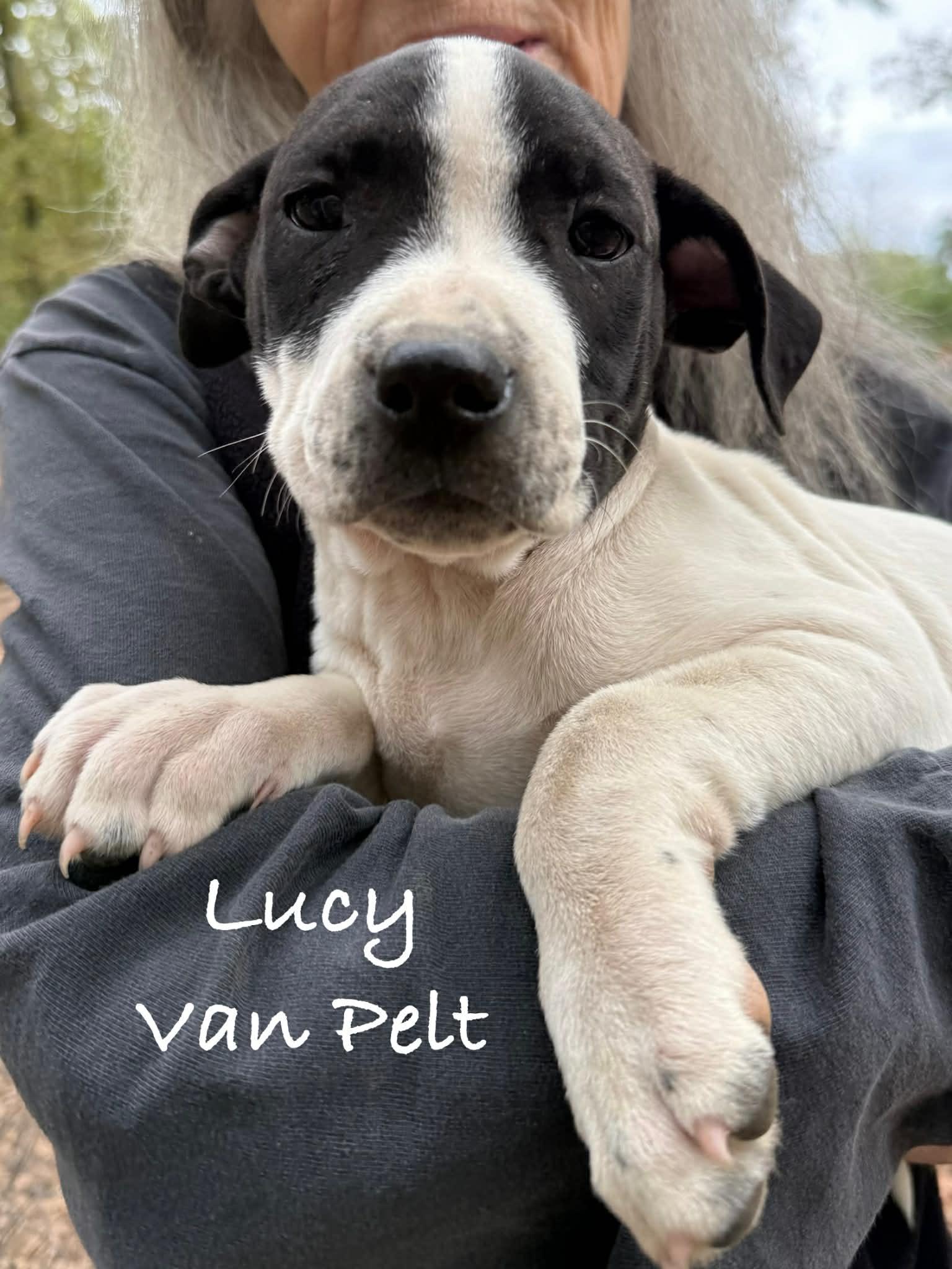 Lucy Vanpelt thumbnail 3
