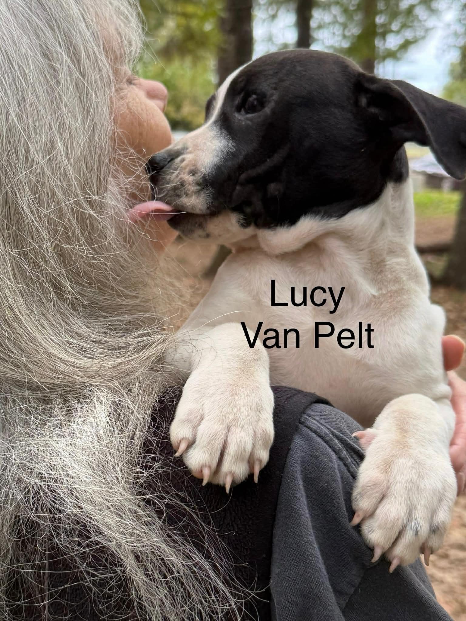 Lucy Vanpelt thumbnail 4