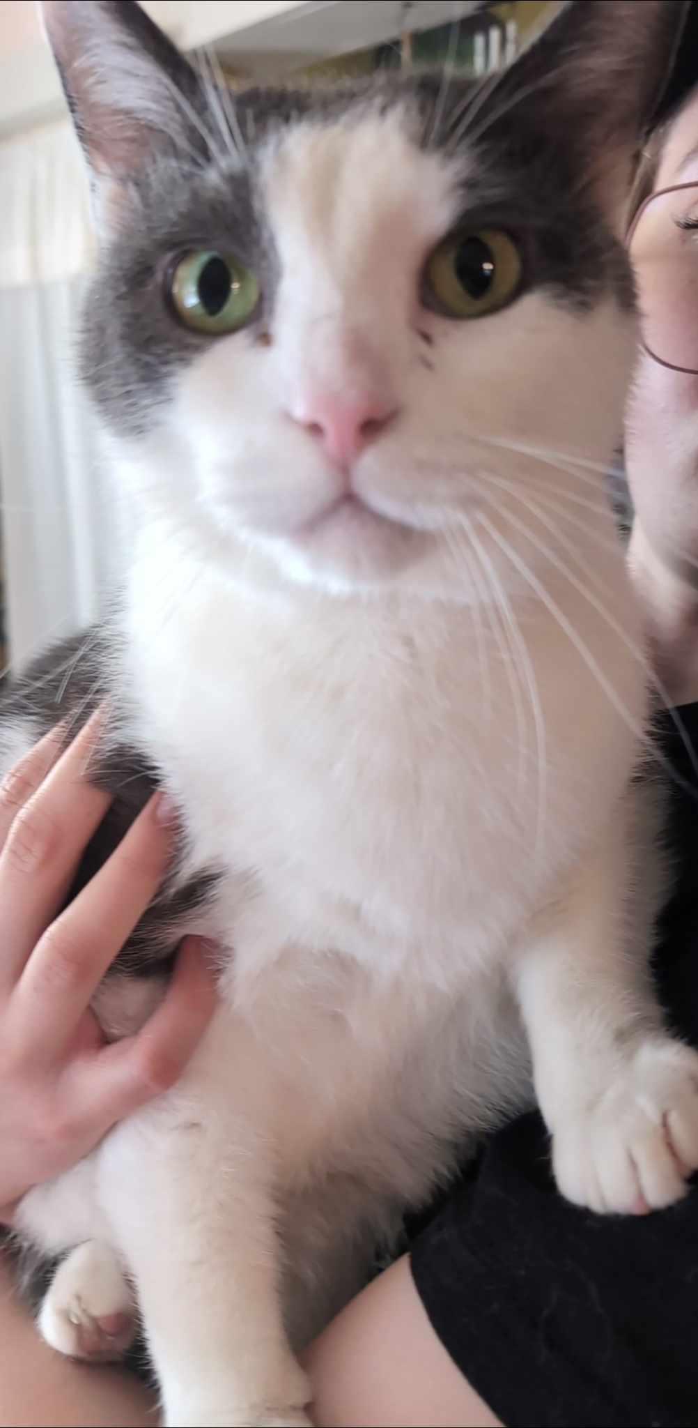 KIKI