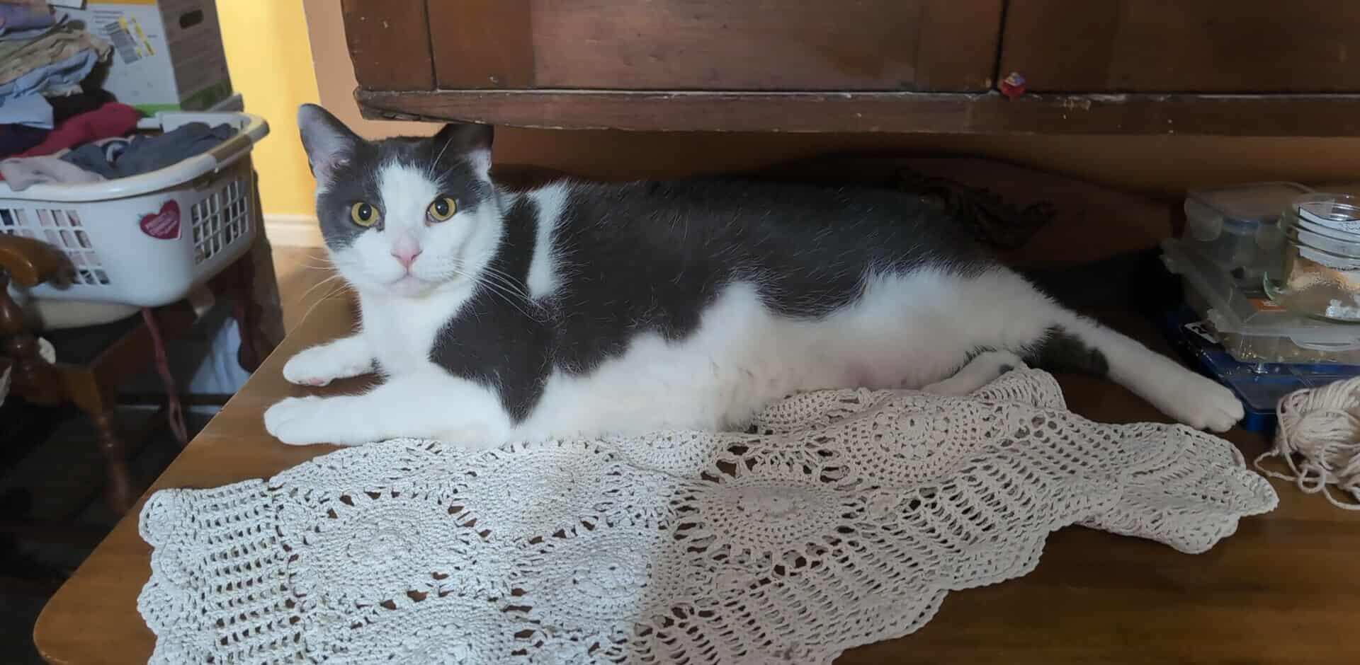 KIKI