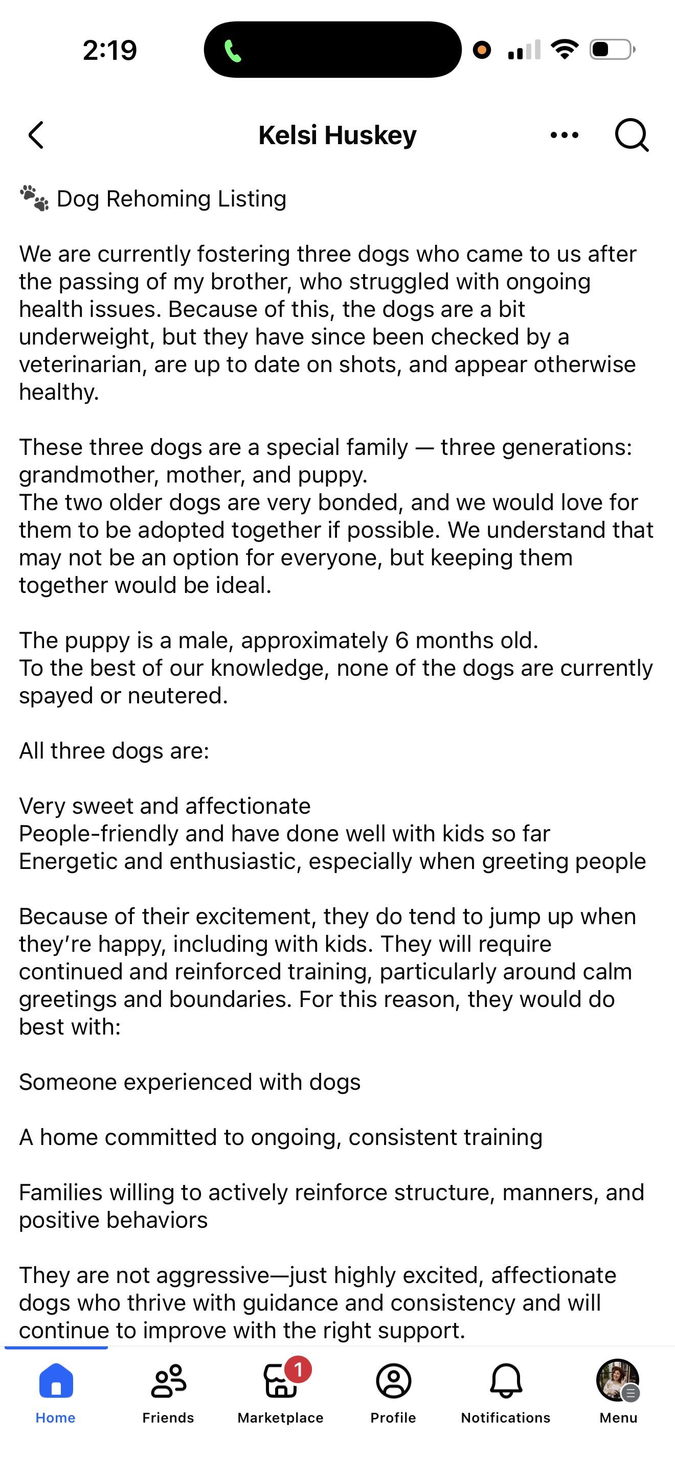 Courtesy post. Please call the owner directly , ADOPTABLE, Young Female Cattle Dog.