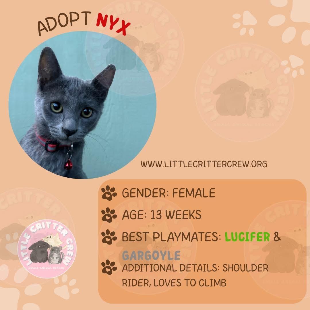 Nyx