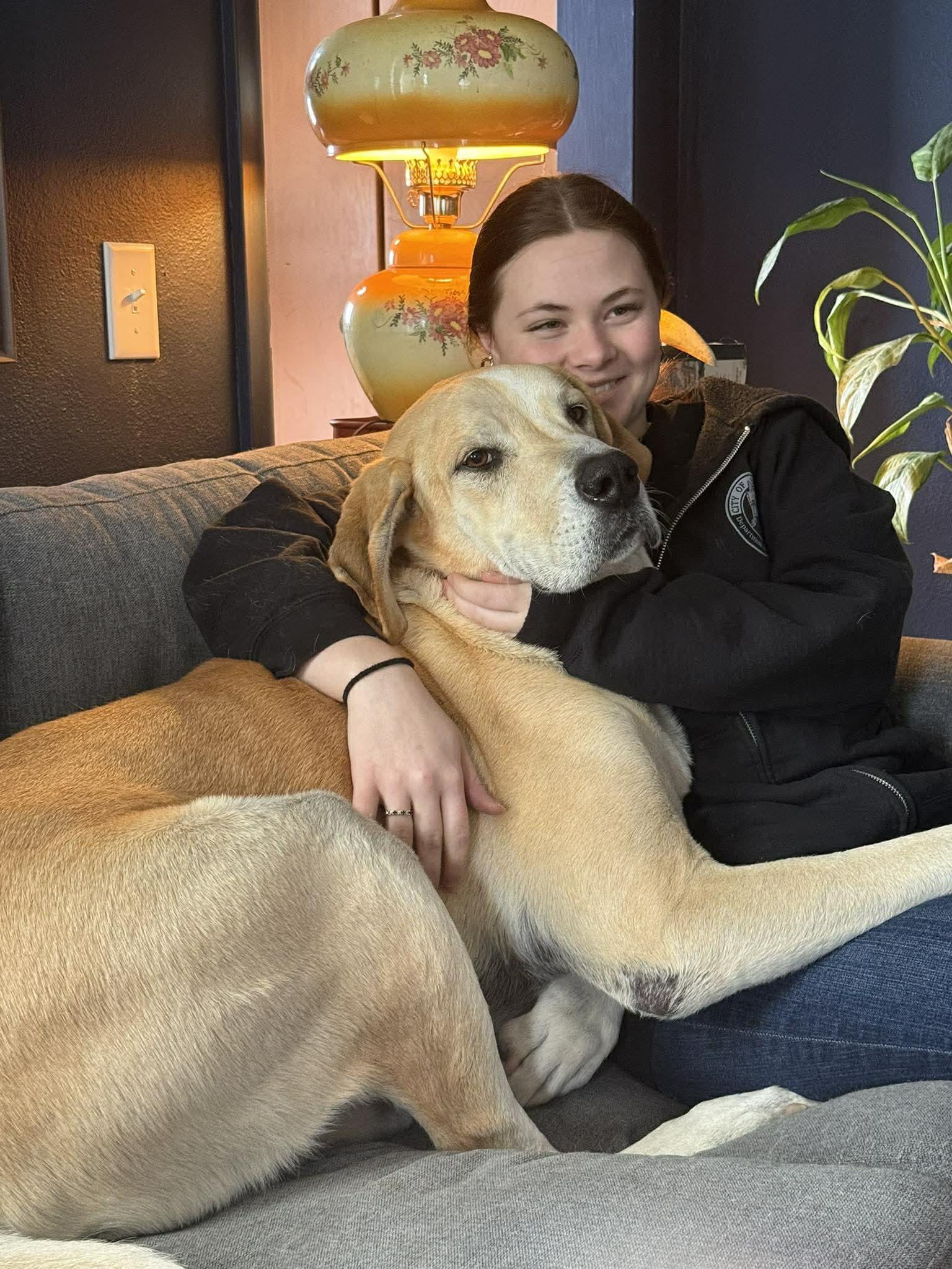 Enlarge Earl, a ADOPTABLE mixed breed in Whitewater, WI image 3/6